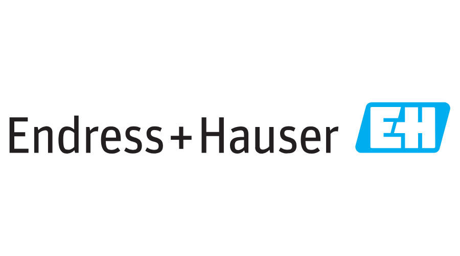 Endress Hausser